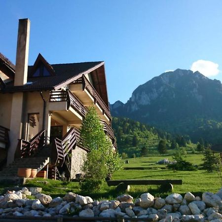 Taverna Pietrei Craiului Zărneşti Zewnętrze zdjęcie