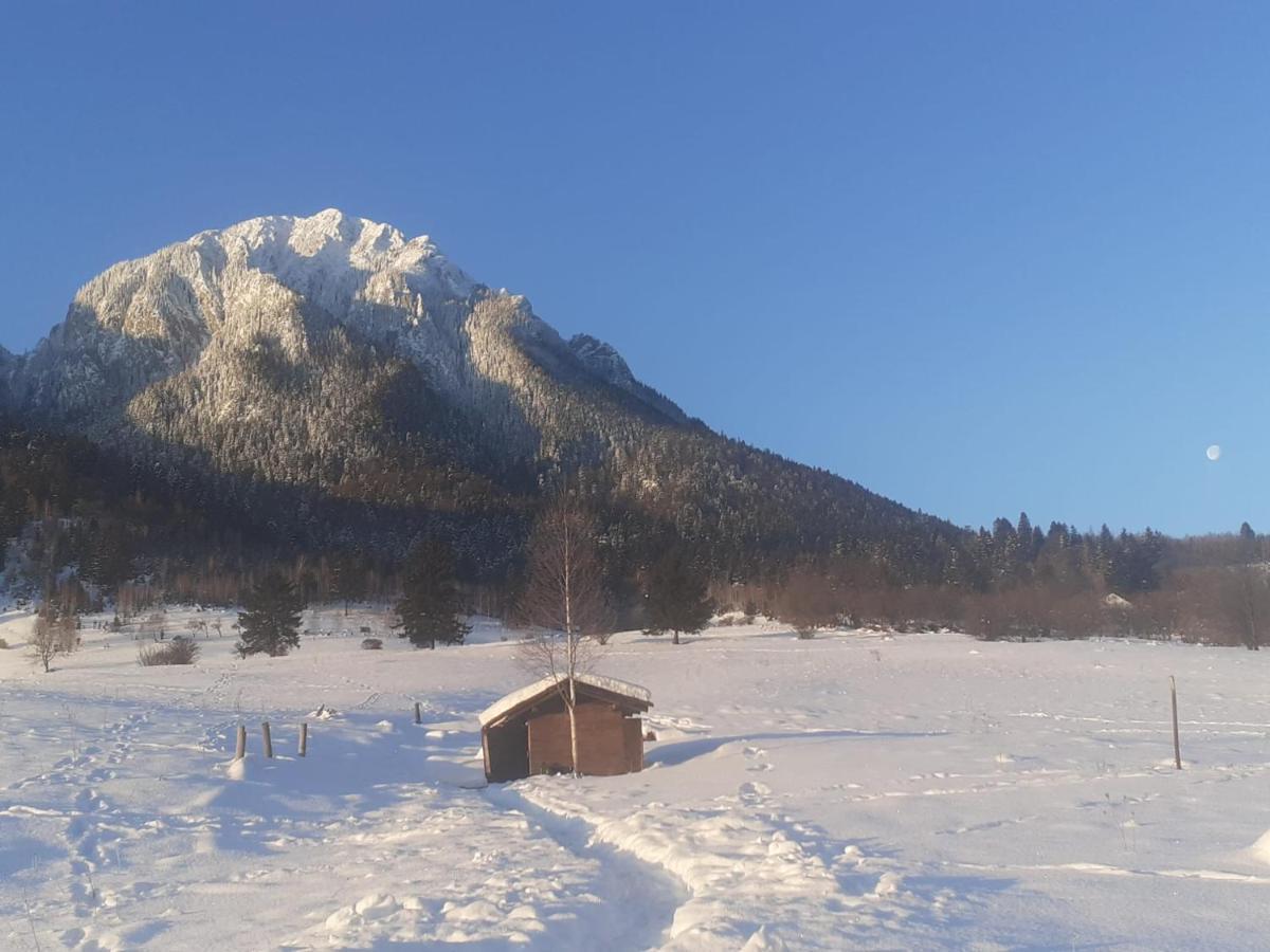 Taverna Pietrei Craiului Zărneşti Zewnętrze zdjęcie